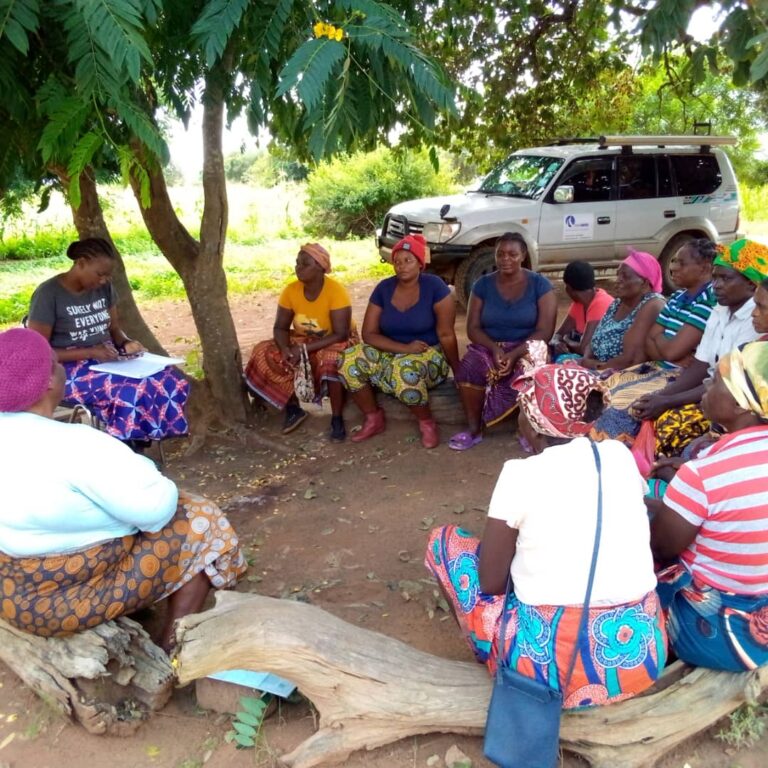 Gender Assessments in the Target Districts of the IRCP